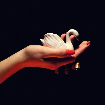 Pale Spring LP - Cygnus: | Buy Now For 39.99