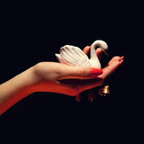 Pale Spring LP - Cygnus: | Buy Now For 39.99