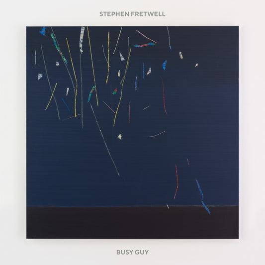 Stephen Fretwell LP - Busy Guy