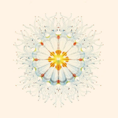 Charlie Charlie LP - Litte Things