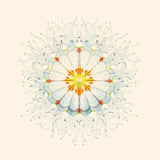 Charlie Charlie LP - Litte Things