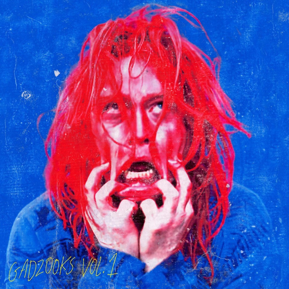 Caleb Landry Jones LP - Gadzooks Vol. 1