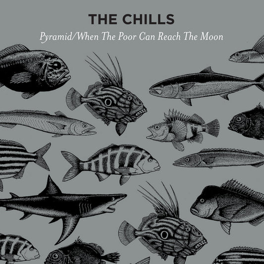 Chills LP - Pyramid