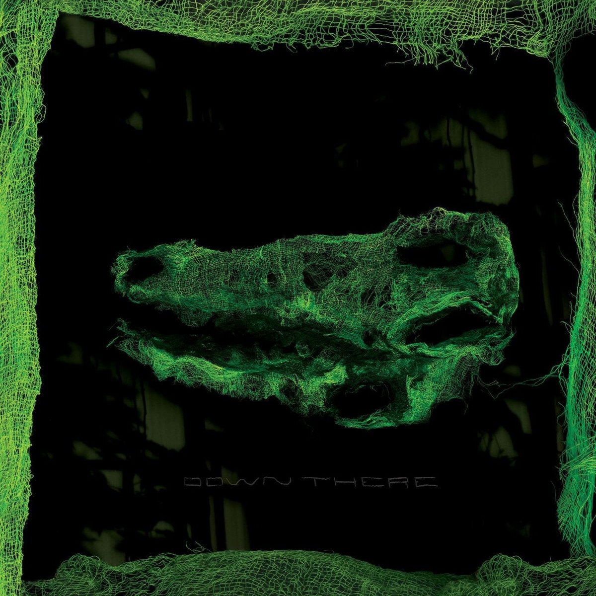 Avey Tare LP - Down There