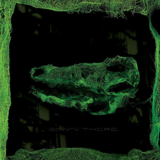 Avey Tare LP - Down There