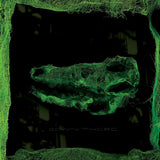 Avey Tare LP - Down There