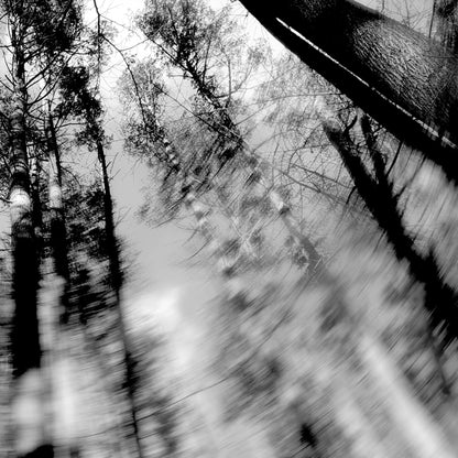 Loess LP - Totems