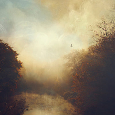 Stray Theories LP - This Light