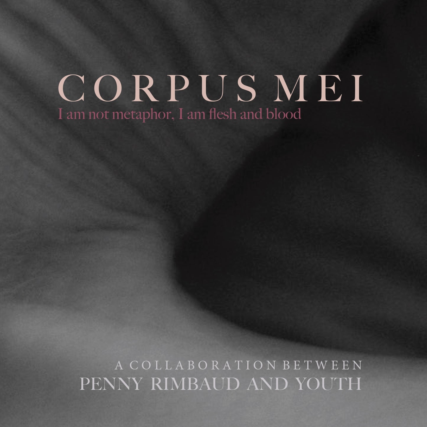 Penny Rimbaud & Youth LP - Corpus Mei (Grey Vinyl)