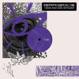 Hippo Campus LP - Lp3