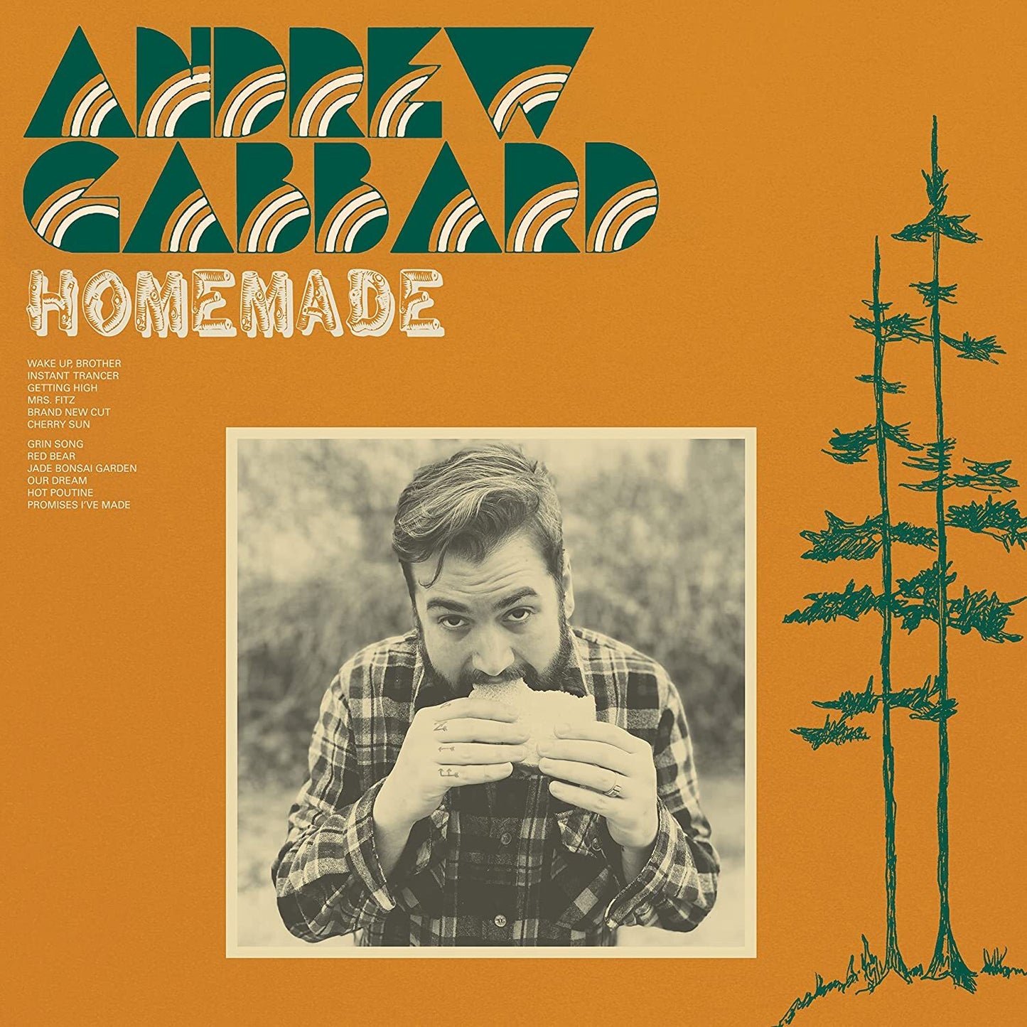 Andrew Gabbard LP - Homemade