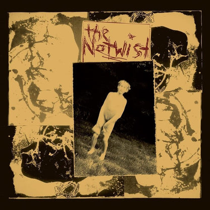 Notwist. The LP - Notwist  The (30Th Anniversary