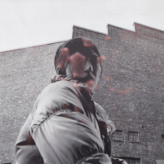 Aldous Harding LP - Warm Chris