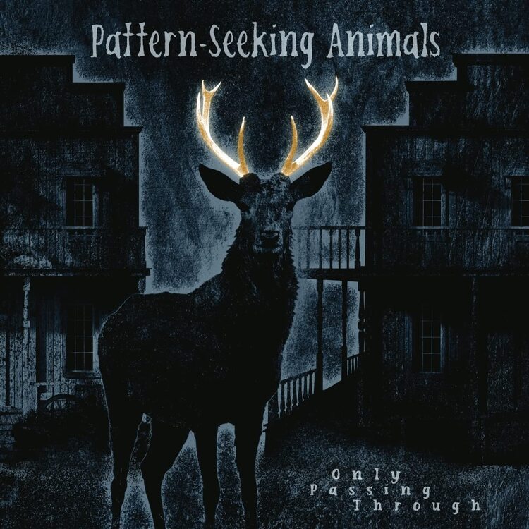 Pattern-Seeking Animals LP - Only Passing Through (Gatefold