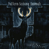 Pattern-Seeking Animals LP - Only Passing Through (Gatefold