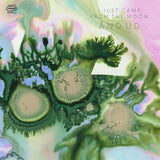 I Just Came From The Moon LP - And Ud