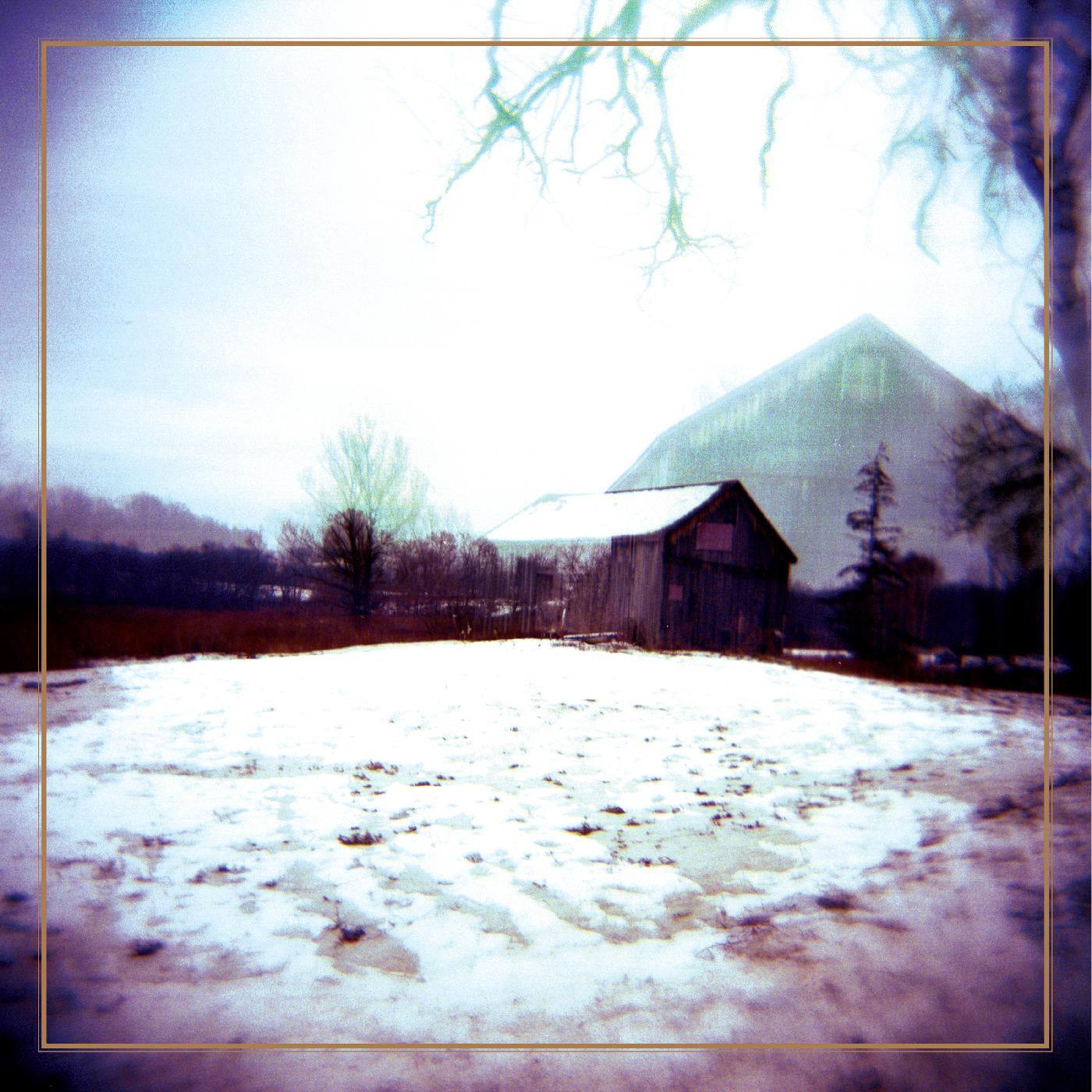Horse Feathers LP - House With No Home (Deluxe Edition)