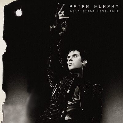 Peter Murphy LP - Wild Birds Live Tour | Buy Now For 54.99