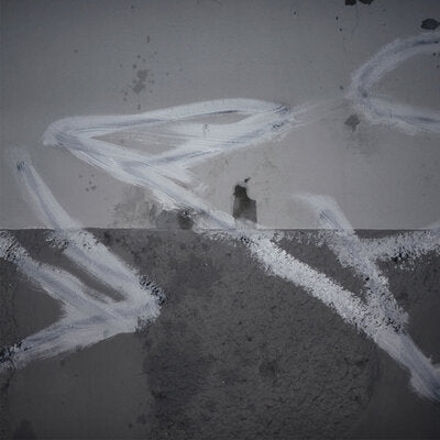 Various Artists LP - In Trux We Pux 01
