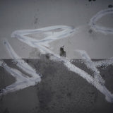 Various Artists LP - In Trux We Pux 01