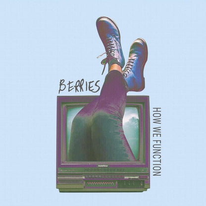 Berries LP - How We Function