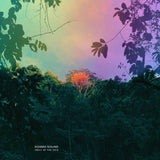 Kosmo Sound LP - Fruit Of The Void