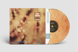Steamhammer LP - Reflection