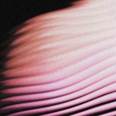 Polar LP - Everything  Everywhere