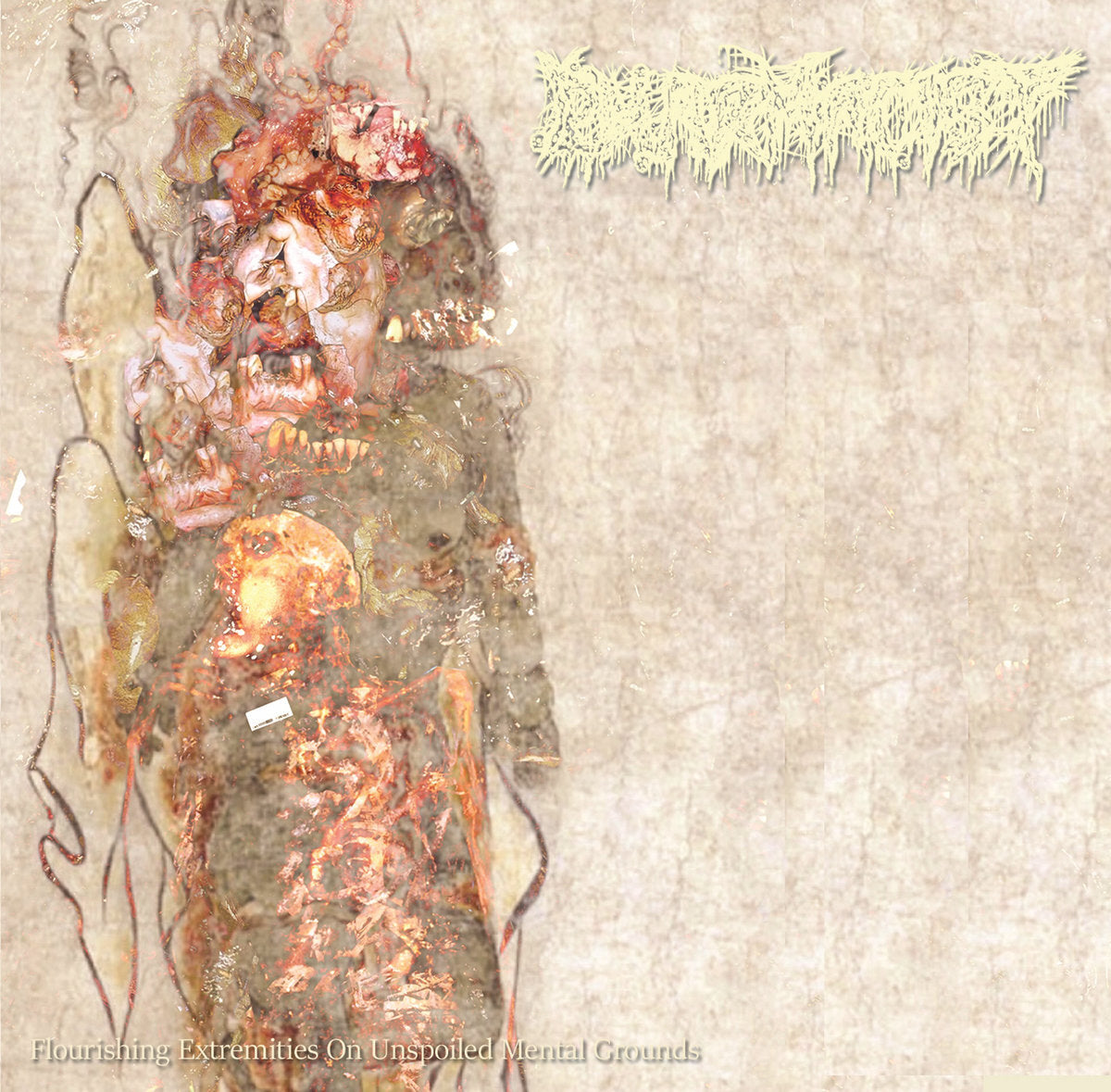 Pharmacist LP - Flourishing Extremities On Unspoiled Mental Grounds | Buy Now For 39.99