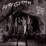 Aerosmith LP - Night In The Ruts