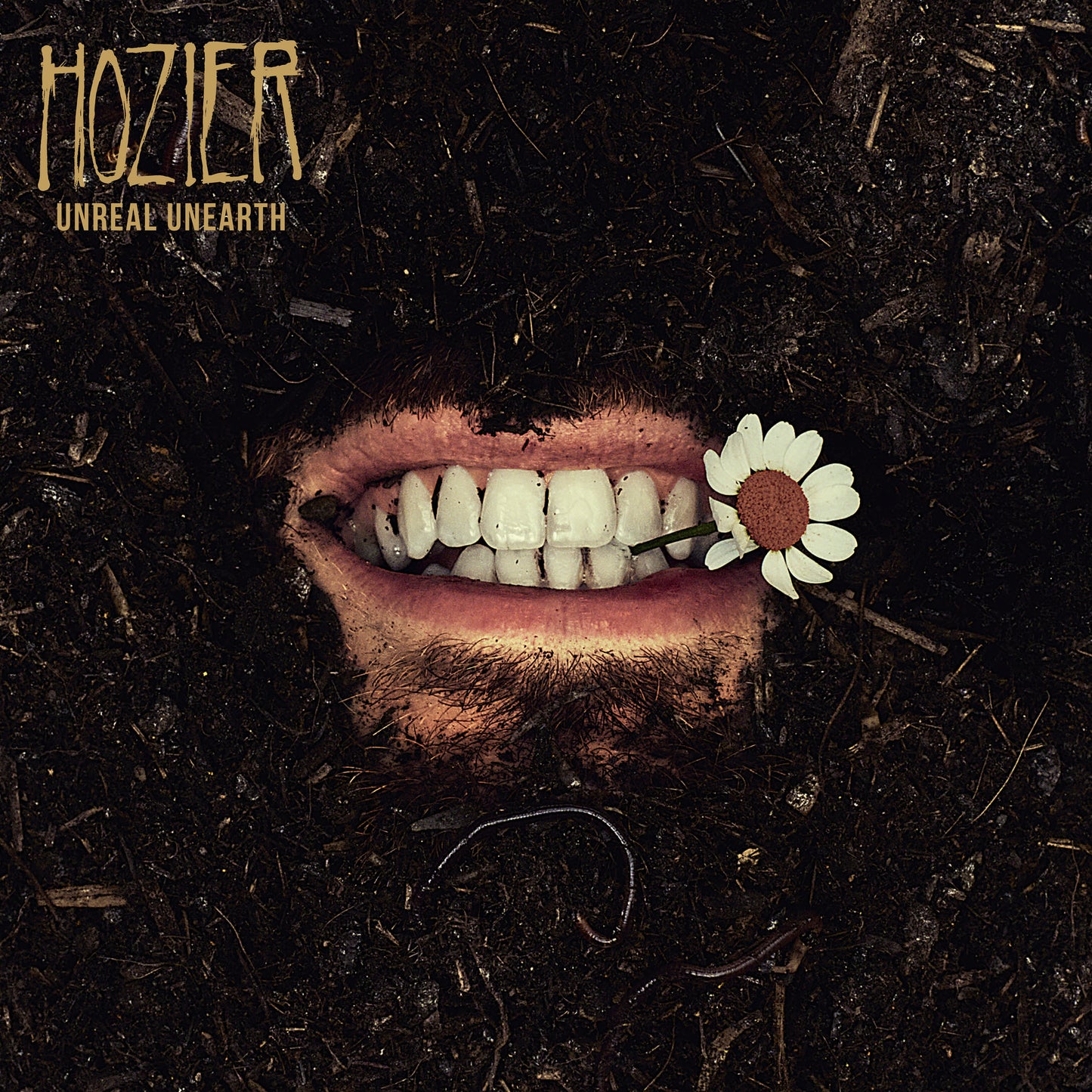 Hozier LP - Unreal Unearth