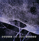 Speed of the Stars LP - Speed of the Stars | Buy Now For 39.99