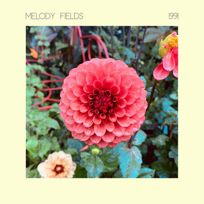 Melody Fields LP - 1991 | Buy Now For 44.99