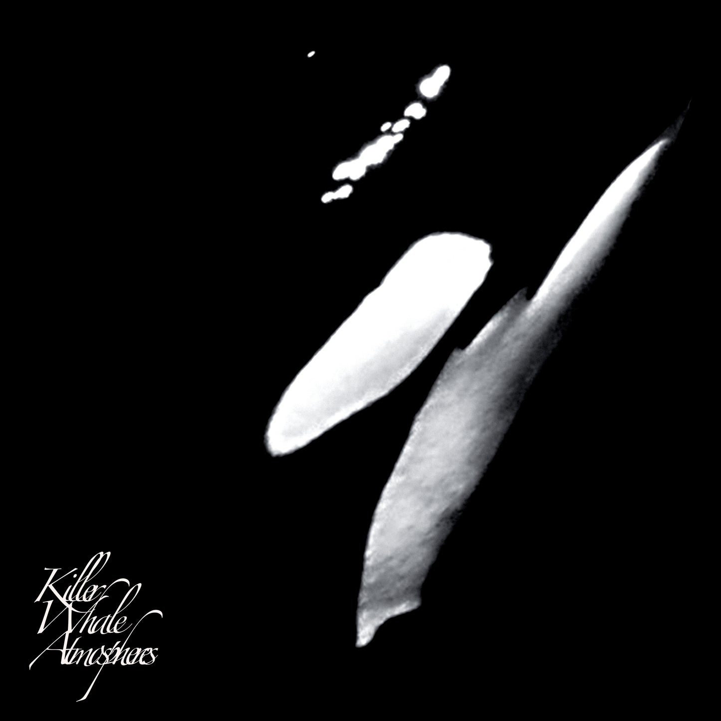 Rainforest Spiritual Enslavement LP - Killer Whale Atmospheres