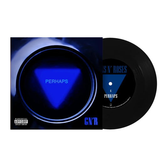 Guns N' Roses LP - Perhaps / The General