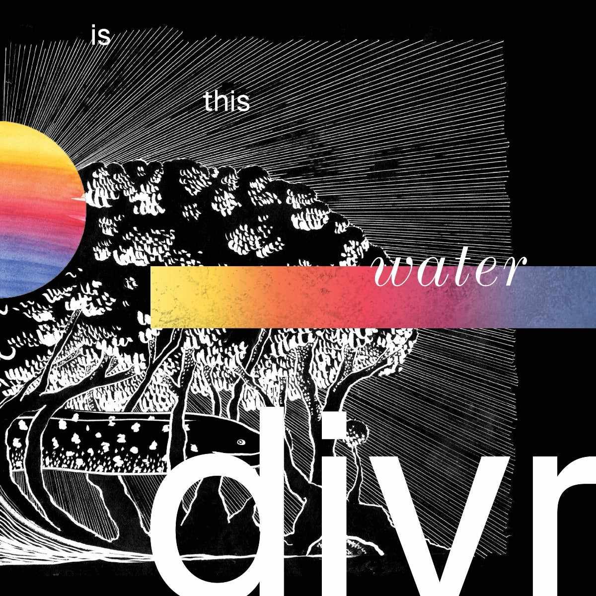 Divr LP - Is This Water