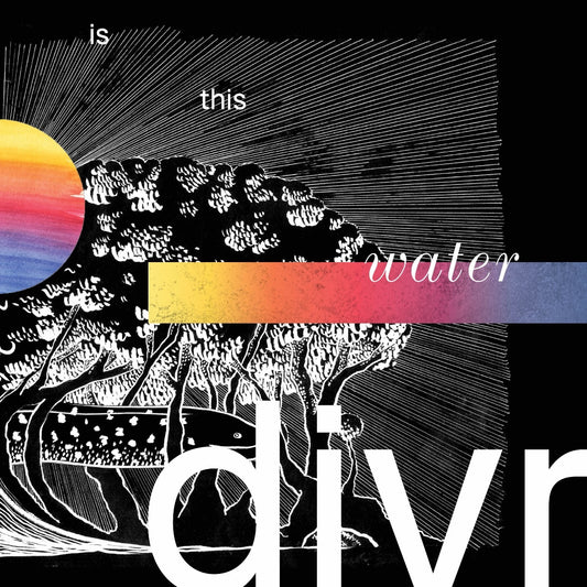 Divr LP - Is This Water