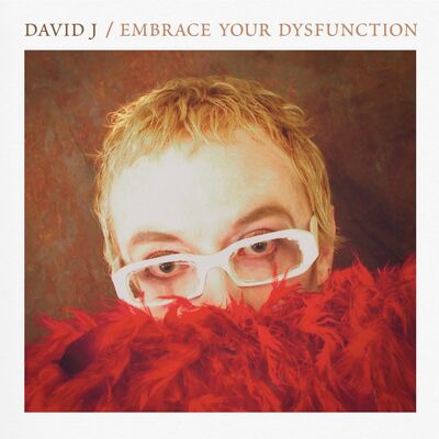 David J LP - Embrace Your Dysfunction | Buy Now For 44.99