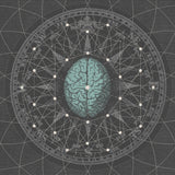 Bipolar Architecture LP - Metaphysisize | Buy Now For 34.99