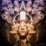 Mr.Bison LP - Echoes From The Universe | Buy Now For 29.99