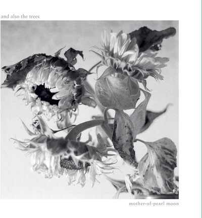 And Also the Trees LP - Mother-of-Pearl Moon | Buy Now For 39.99