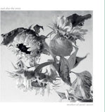 And Also the Trees LP - Mother-of-Pearl Moon | Buy Now For 39.99