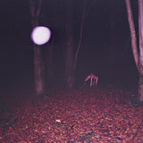 Buzzard Buzzard Buzzard LP - Skinwalker