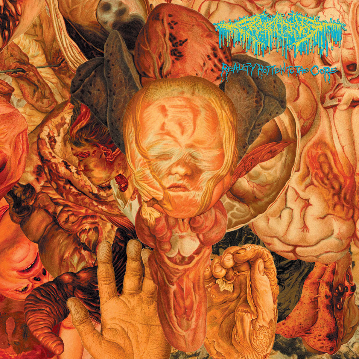 Festerdecay LP - Reality Rotten To The Core | Buy Now For 34.99