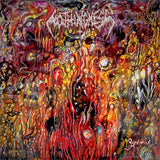 Nothingness LP - Supraliminal | Buy Now For 34.99