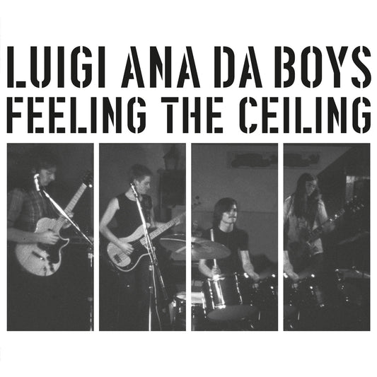 Luigi Ana Da Boys LP - Feeling The Ceiling