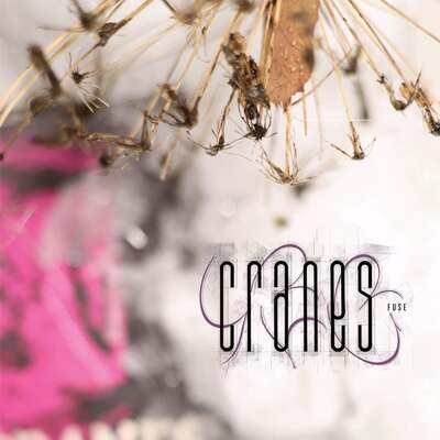 Cranes LP - Fuse
