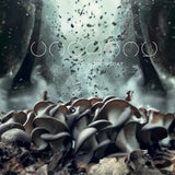 Uncanny LP - Shroomsday | Buy Now For 34.99