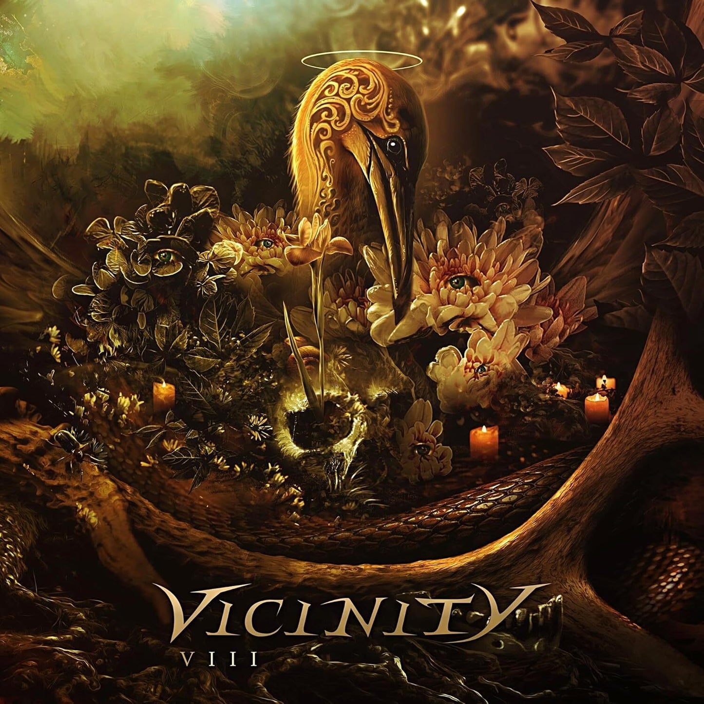 Vicinity LP - Viii (2Lp) | Buy Now For 49.99