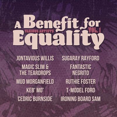 Various Artists LP - A Benefit for Equality- Volume 1 | Buy Now For 34.99